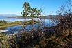  delta Abiskojakka