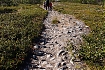  szlak na Paddus