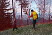  Dzień drugi