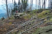  Dzień drugi