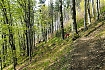  Dzień trzeci