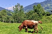  Z Sankt Johann im Pongau do Obervellach - drugi dzień na Alpe Adria