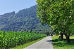  Z Obervellach do Villach &ndash; trzeci dzień na Alpe Adria