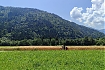  Z Obervellach do Villach &ndash; trzeci dzień na Alpe Adria: tego dnia najpiękniejsze były drogi przez pola.